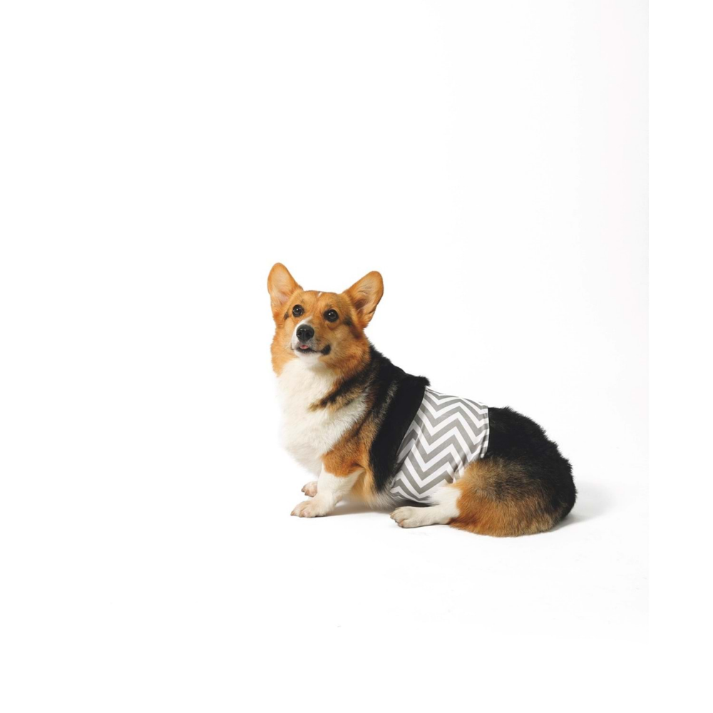 M-Pets Erkek Köpekler İçin Yıkanabilir Külot (XL)