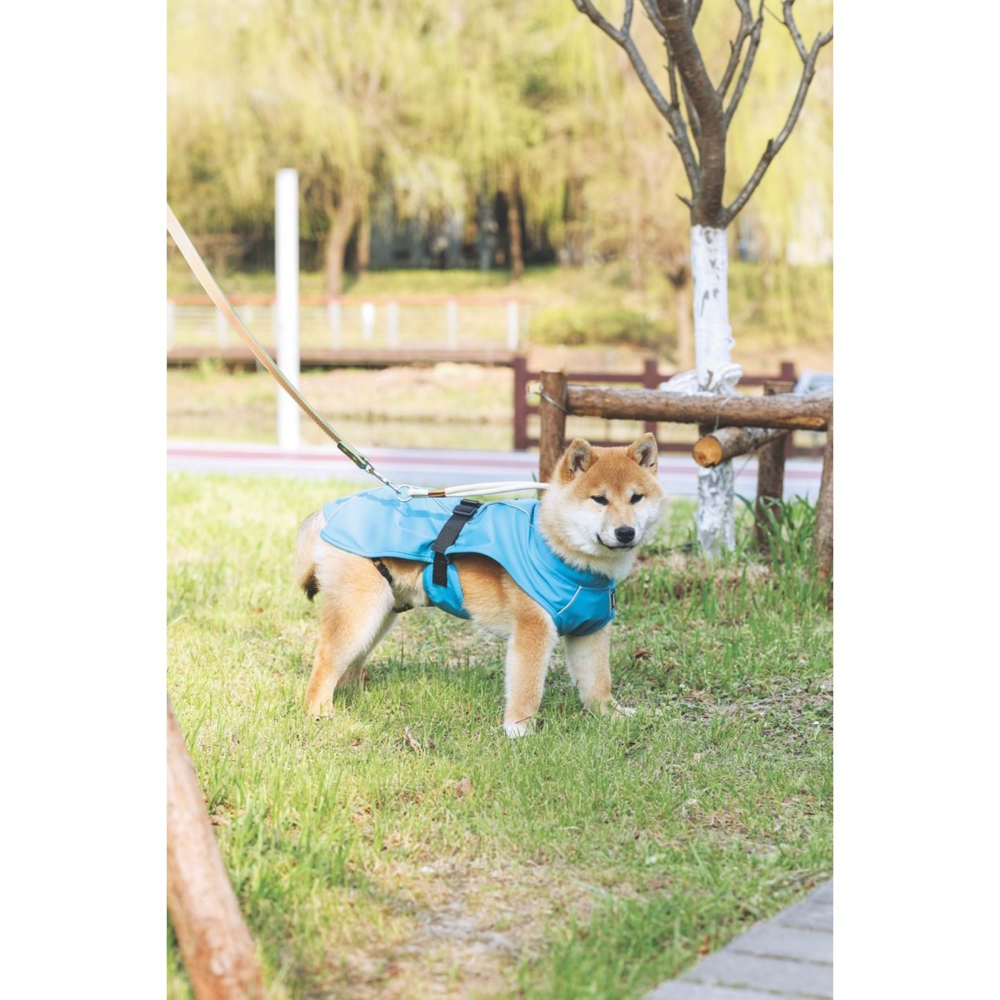 M-Pets Dog Rain Coat Yağmurluk (S)