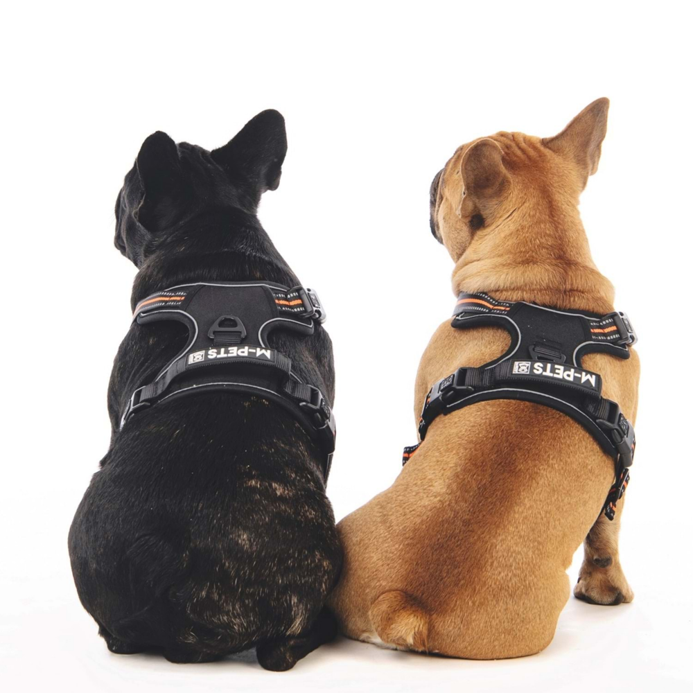 M-Pets Hıkıng Reflektörlü Soft Sırt Tasması Orange (XL)