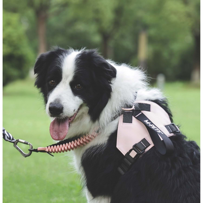 M-Pets Orıgamı Reflektörlü Sırt Tasması Pink (S)