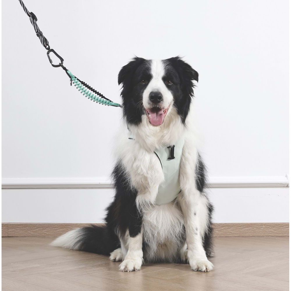 M-Pets Orıgamı Reflektörlü Sırt Tasması Green (L)