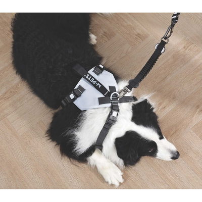 M-Pets Orıgamı Reflektörlü Sırt Tasması Blue (M)