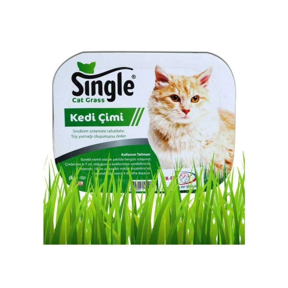 Single Natural Kedi Çimi