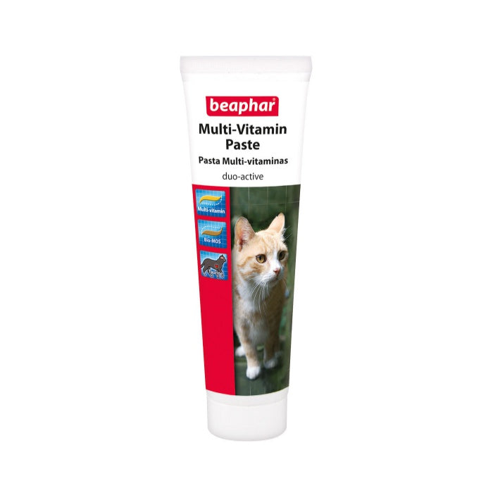 Beaphar Duo Active Multi Kedi Macunu 100gr