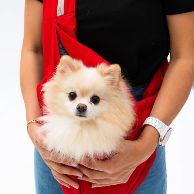 PawStar Kırmızı Crossbady Çanta