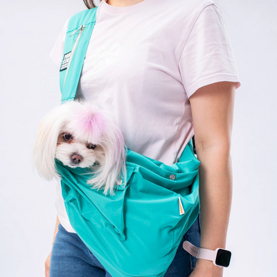 PawStar Mint Crossbody Çanta