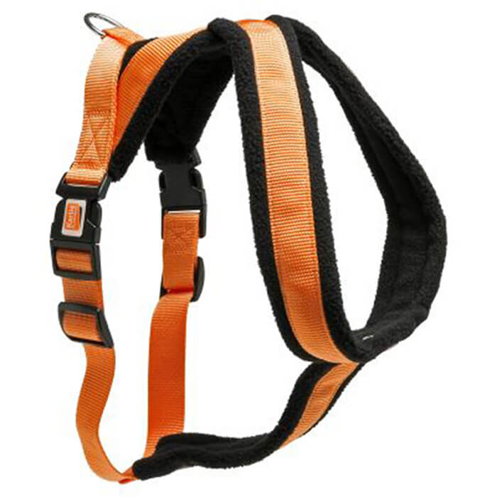 ASCR. GOG. TAS. 58-70CM