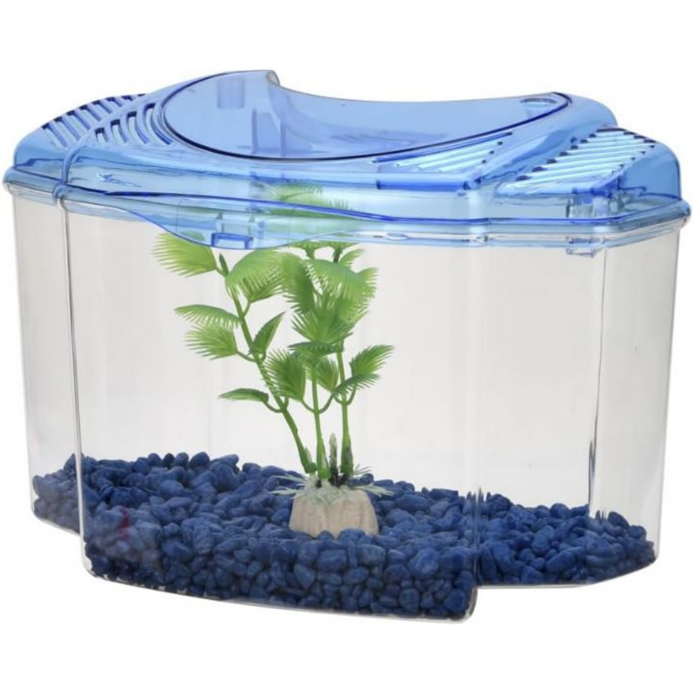 Lomas Beta Kit 1.8 L Betta Balığı Akvaryum Seti Mavi