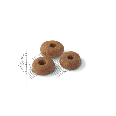 Royal Canin Fit 32 2 Kg Yetişkin Kuru Kedi Maması