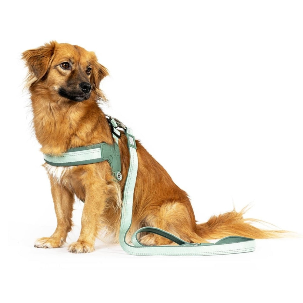 Matrix 2.0 Akıllı Künyeli Q-Fit Köpek Göğüs Tasması - Jade (XXS)