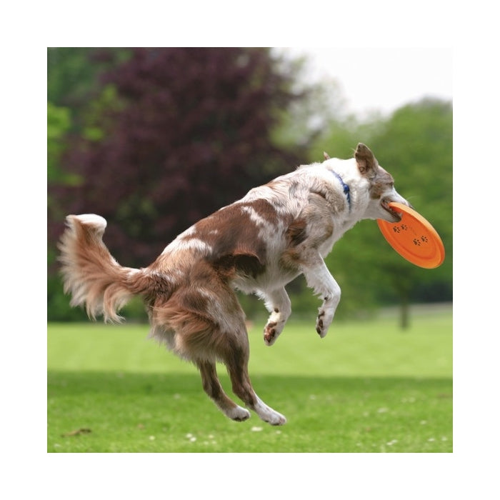 Trixie Köpek Agility Eğitim Frizbisi 23cm