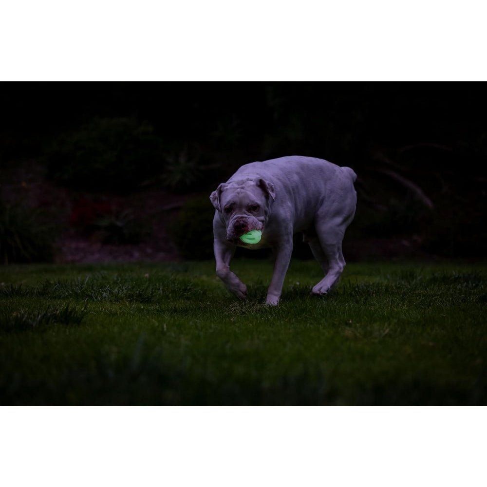 Chuckit! Max Glow Air Fetch Gece Parlayan Köpek Oyun Topu (Orta Boy)