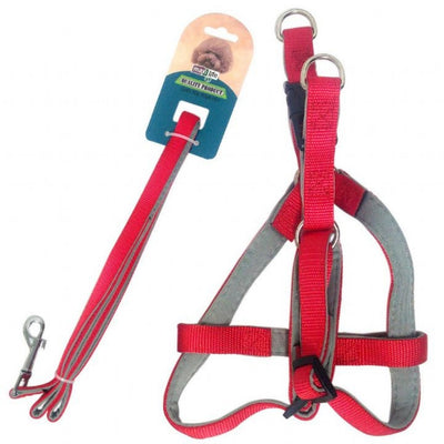 Maxi Life Uzatma Köpek Gezdirme 15mmx120cm