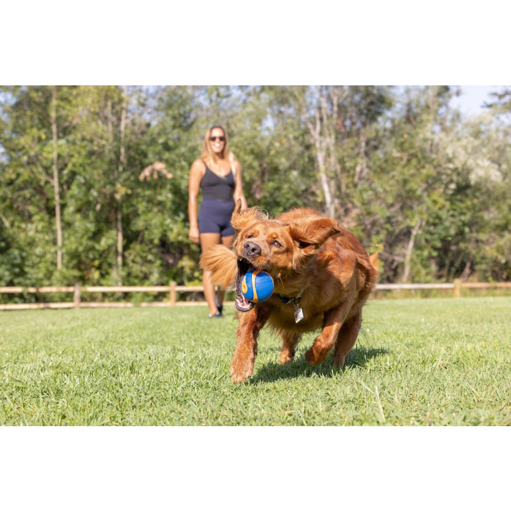 Chuckit! Ultra Squeaker Sesli Köpek Oyun Topu (XL Boy)