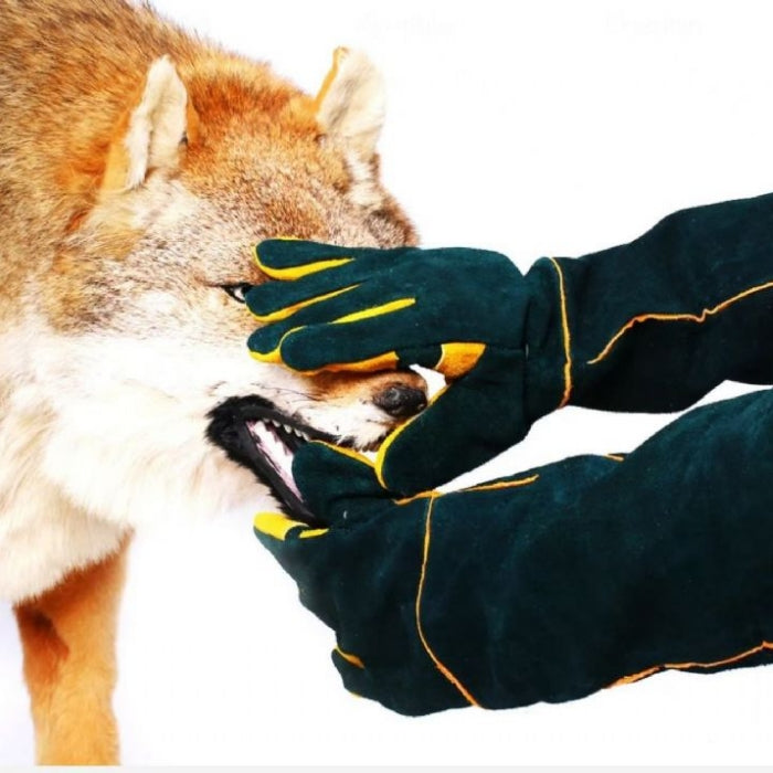 Nunbell Kedi Köpek Yakalama Eldiveni 45Cm