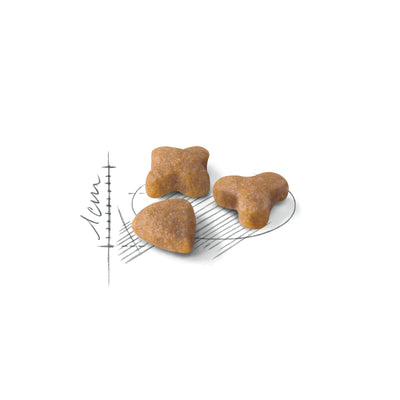 Royal Canin Sensible 33 2 Kg Yetişkin Kuru Kedi Maması