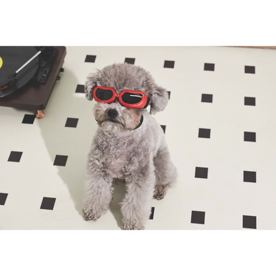 M-PETS Sunny Daytrıp Köpekler İçin Gözlük Red