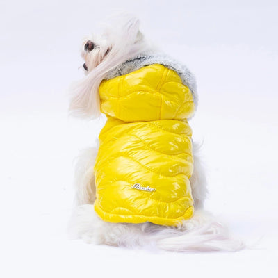 Pawstar Yellow Light Wave Vest L