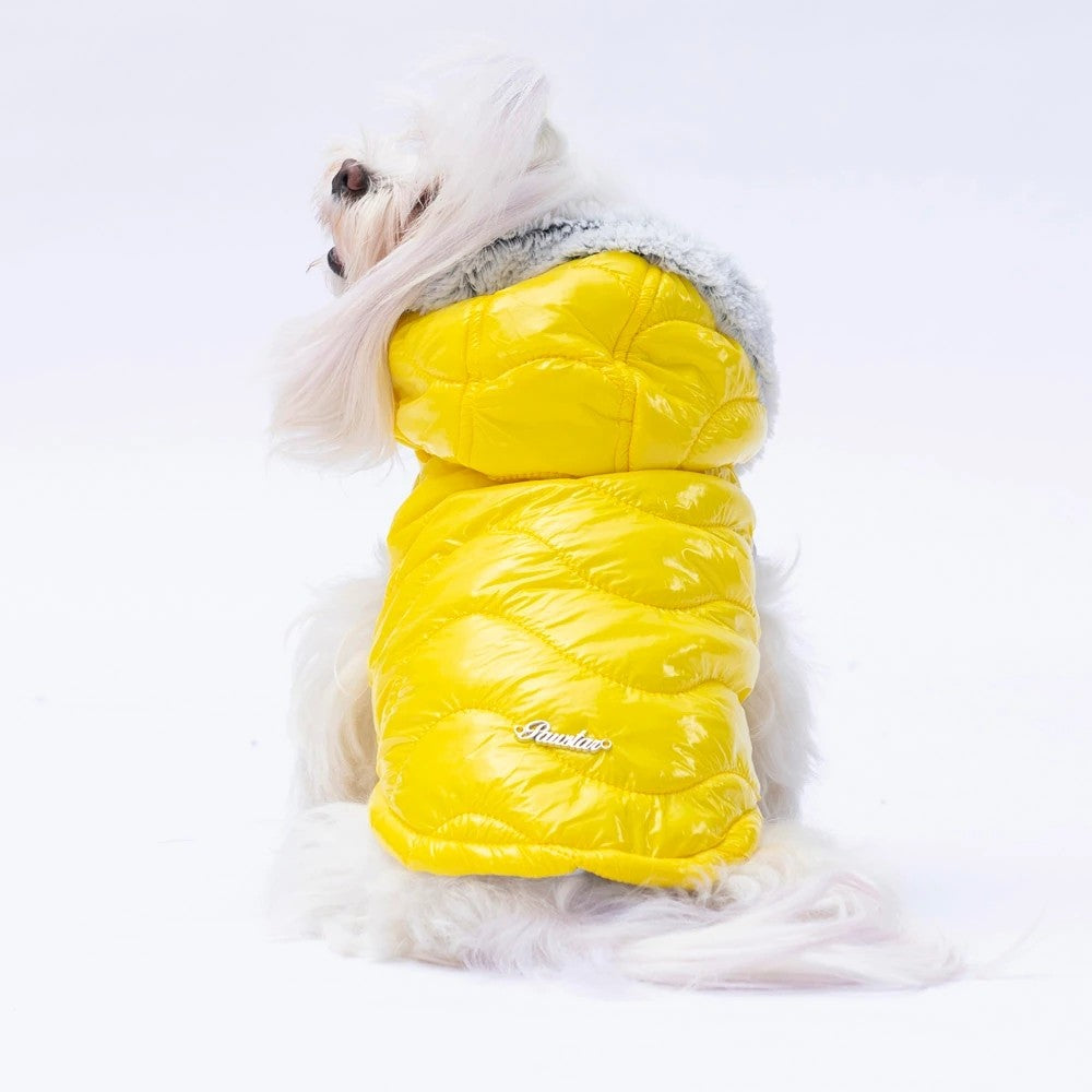 Pawstar Yellow Light Wave Vest XL