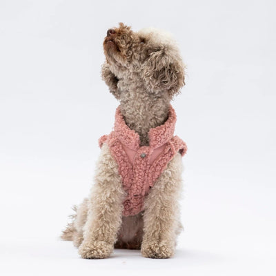 Pawstar Rose Churchill Vest L