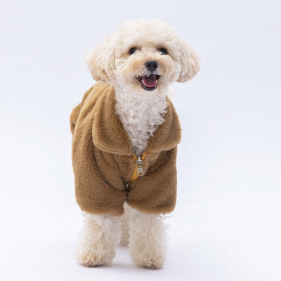 Pawstar Brown Paris Jacket XL