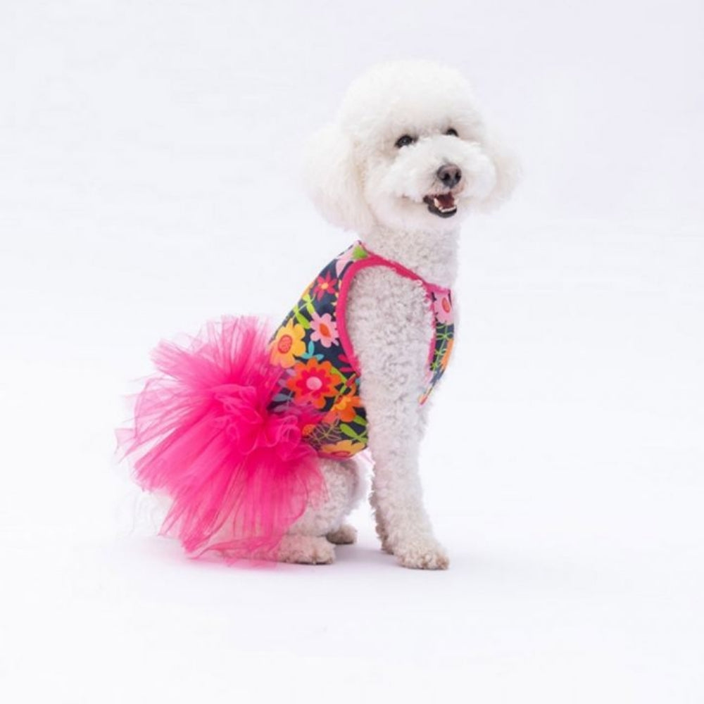 PawStar Flowers XL