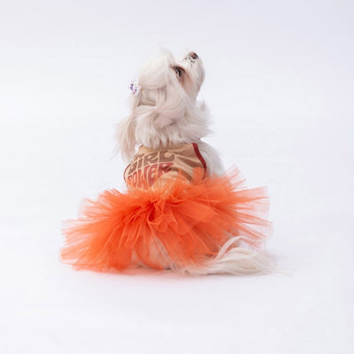 PawStar Beige Girl Power L