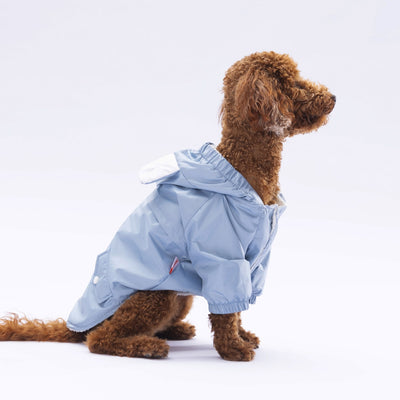 Pawstar Grey Sydney Raincoat L