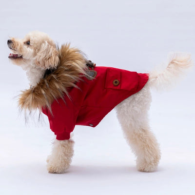 Pawstar Red Charles Raincoat L