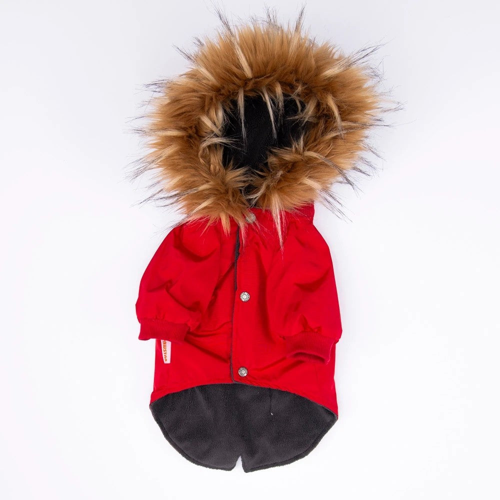 Pawstar Red Charles Raincoat M
