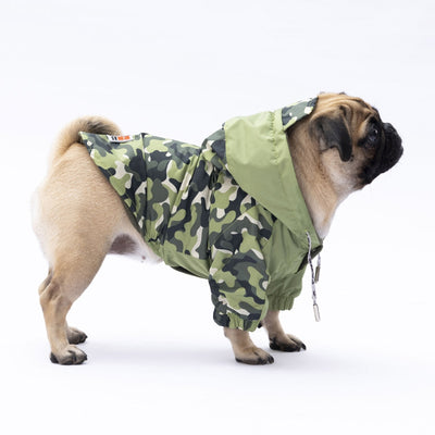 Pawstar Green Dijon Raincoat L