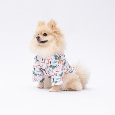 PawStar Palm Beach 2XL