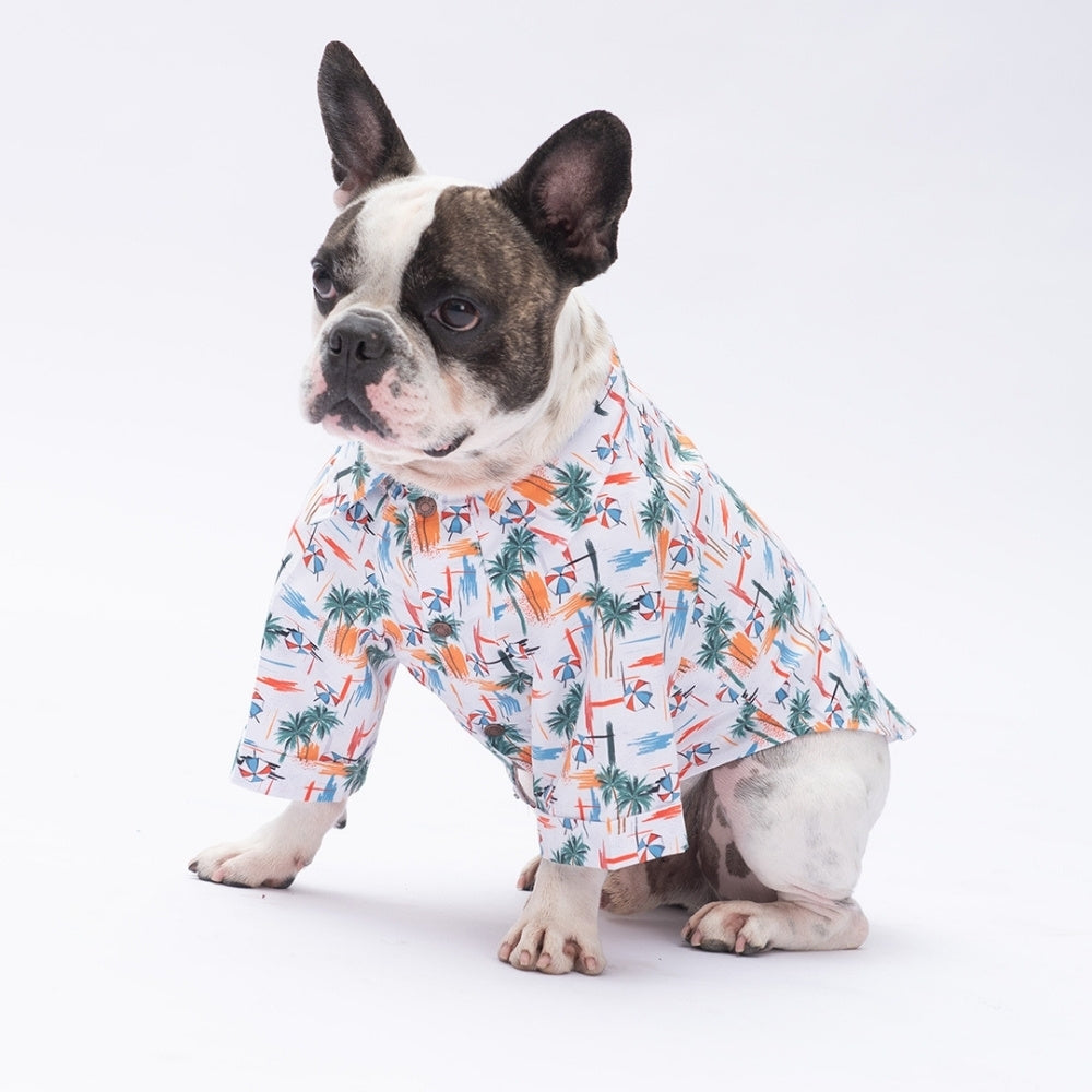 PawStar Palm Beach 2XL