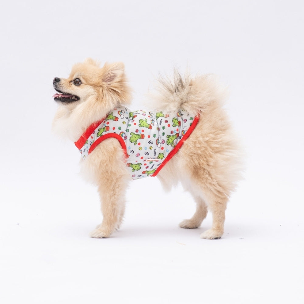 PawStar Happy Cactus M