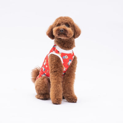 PawStar Holiday Dogs XL