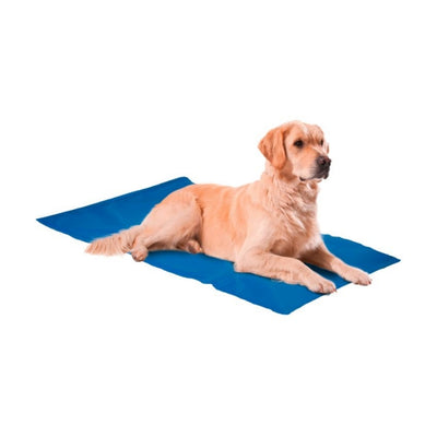 Nunbell Serinleticili Köpek Yatağı 50*90cm XXL