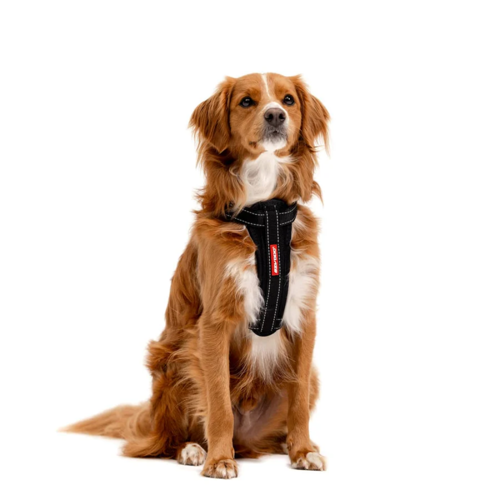 Ezydog 04904 Chest Plate Harness Denım Xl