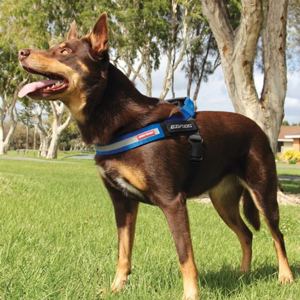 Ezydog 04584 Harness Express Black M