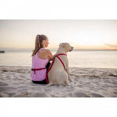 Ezydog 01729 Leashes Road Runner/Zero Shock
