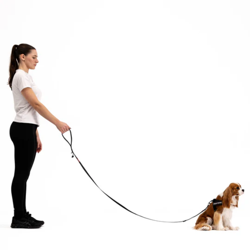 Ezydog 00319 Leashes Trainer S Lite 12Mm 181Cm Sft Black
