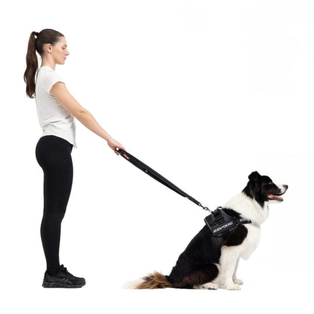 EzyDog 66252 Leas Vario 4 25Mm 6 Orange (180 Cm)Snapcl