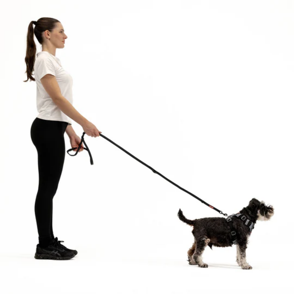 Ezydog 46124 Leash Vario6 Lite 12Mm 8" S Orange (20,5Cm)