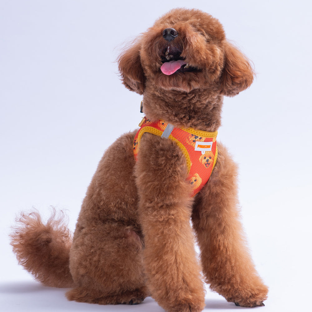 PawStar A31-Poodle Airmesh - L