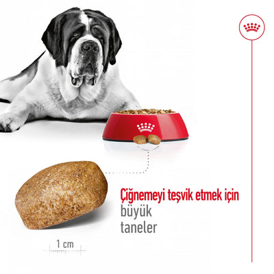 Royal Canin Giant Adult 15 Kg Yetişkin Kuru Köpek Maması