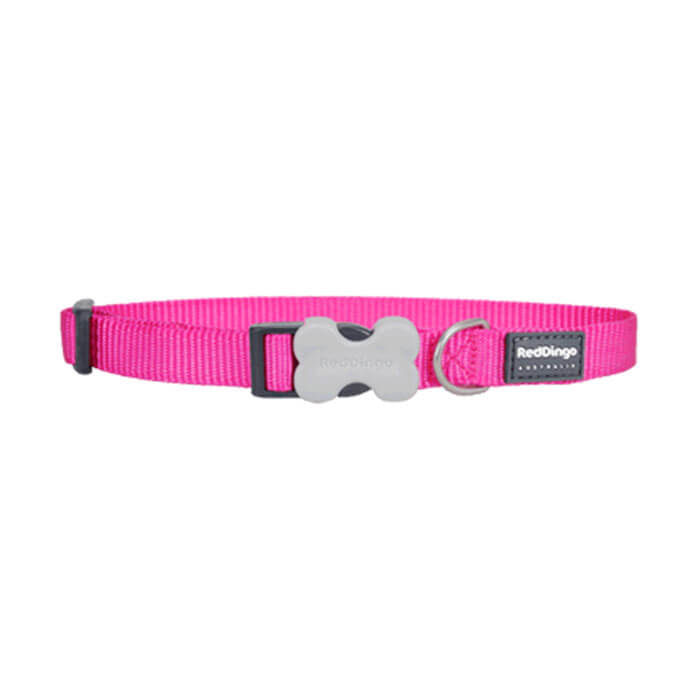 Reddingo Klasik Pembe Köpek Boyun Tasması 15mm