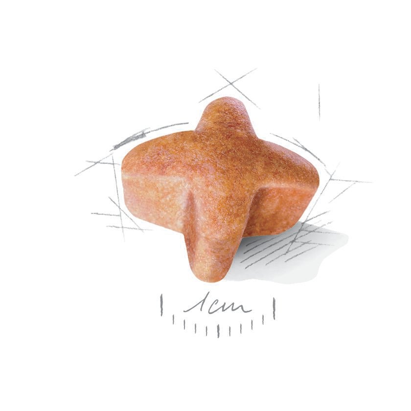 Royal Canin German Shepherd 11 Kg Yetişkin Kuru Köpek Maması