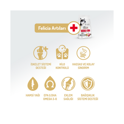 Felicia Az Tahıllı 15 Kg Yetişkin Kuzulu M/Large Breed HypoAllergenic Köpek Maması