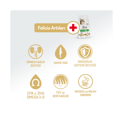Felicia Az Tahıllı 2 Kg Yetişkin Tavuklu HypoAllergenic Kedi Maması