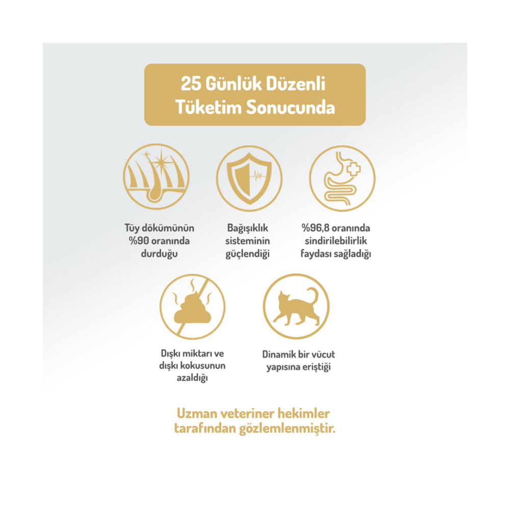 Felicia Az Tahıllı 12 Kg Sterilised Somonlu HypoAllergenic Kedi Maması