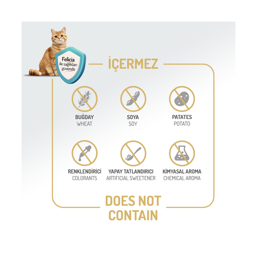 Felicia Az Tahıllı 2 Kg Sterilised Tavuklu HypoAllergenic Kedi Maması